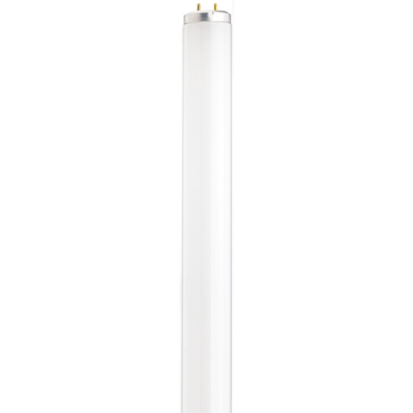 Satco 40W - 48 Inch Fluorescent T12 - 5000K - Daylight - G13 Base S26610